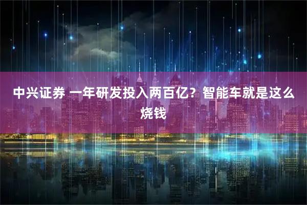 中兴证券 一年研发投入两百亿？智能车就是这么烧钱